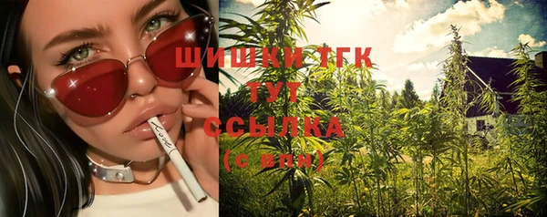 сатива Алексин