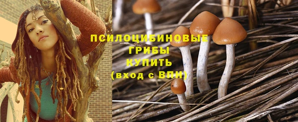 прущий лед Абаза