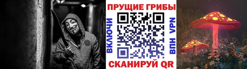 Псилоцибиновые грибы Psilocybine cubensis  мега tor  Сураж 